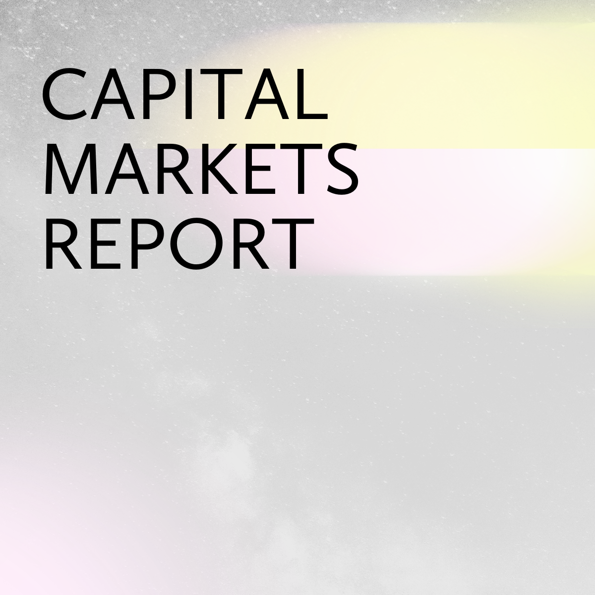 Capital Markets Report